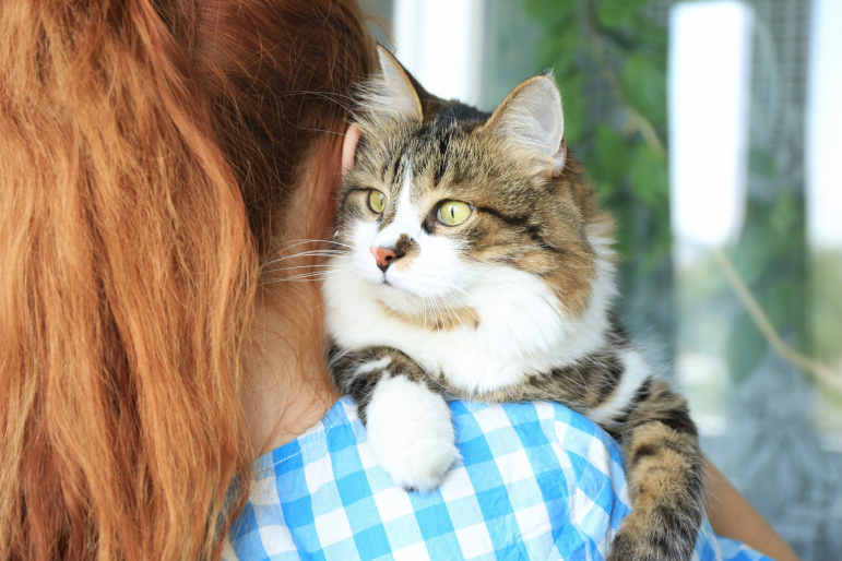 femme portant un chat